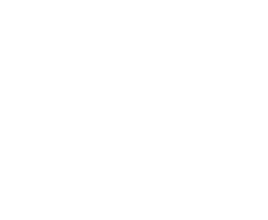 Our principles icon